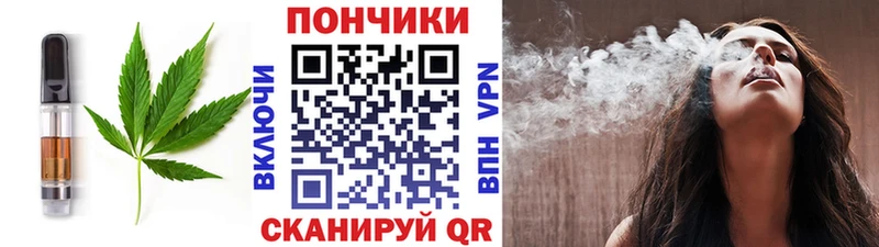 Cannafood марихуана  Шагонар 