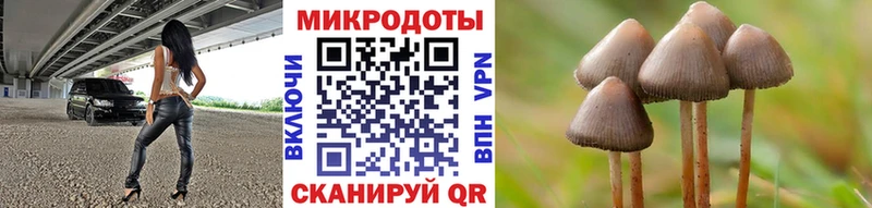 Псилоцибиновые грибы Psilocybe  нарко площадка наркотические препараты  Шагонар  ОМГ ОМГ зеркало 